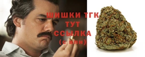 a pvp Новозыбков