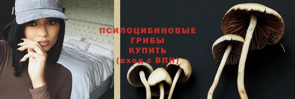 меф Новодвинск