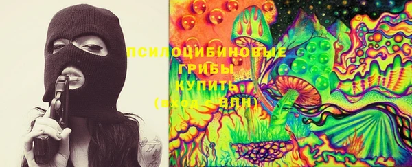 меф Новодвинск