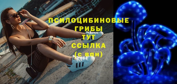 меф Новодвинск
