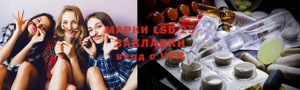 a pvp Новозыбков