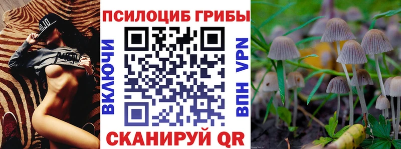 Купить Красный Кут Псилоцибиновые грибы GOLDEN TEACHER